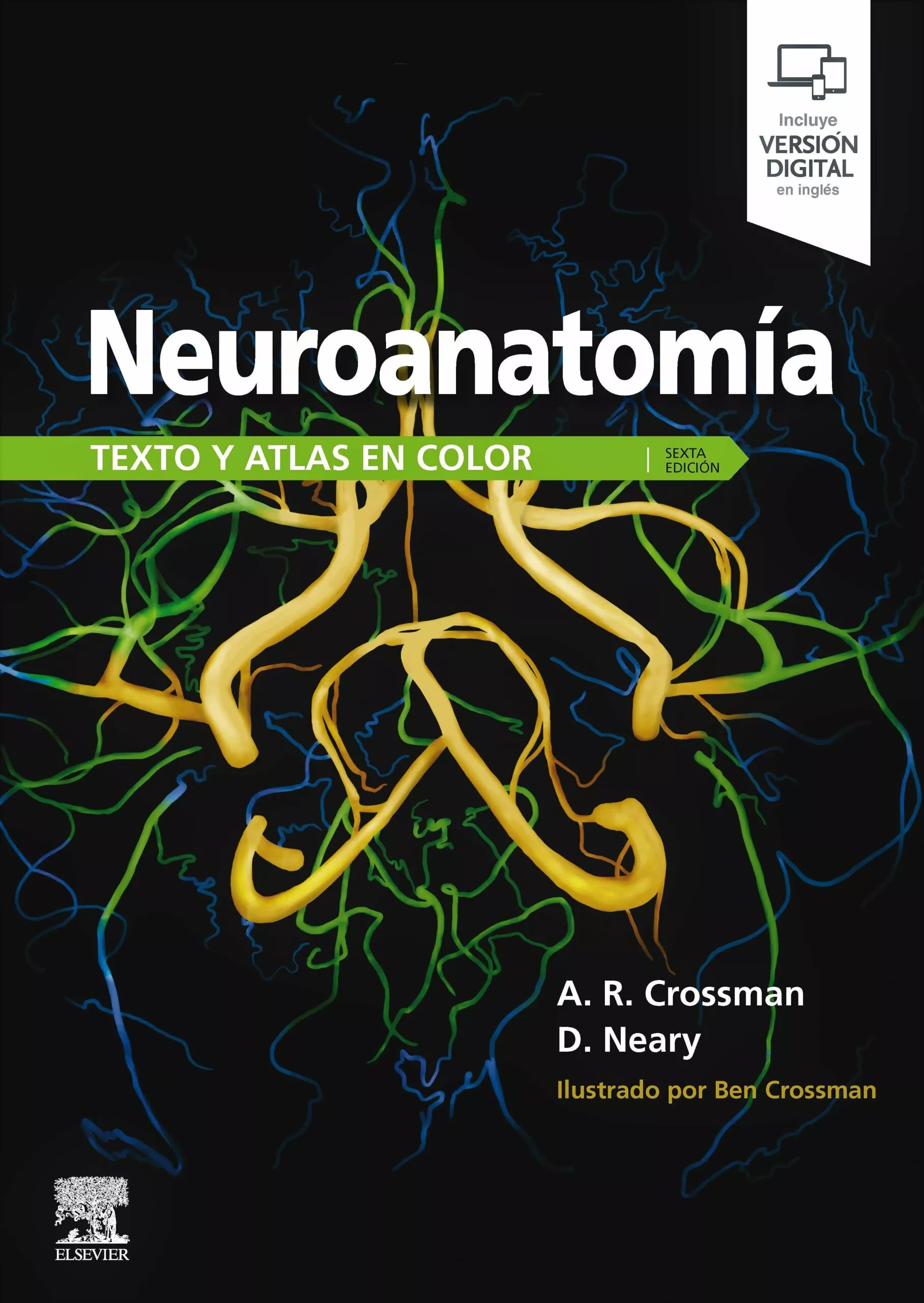 Portada del Libro Neuroanatomía. Texto Y Atlas En Color 6ª Ed. de A.R. Crossman - 9788491135708