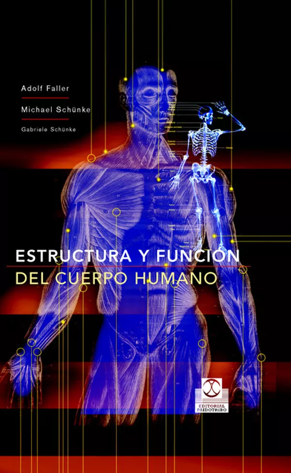 Portada del Libro Estructura Y Funcion Del Cuerpo Humano de Adolf Faller - 9788480198677