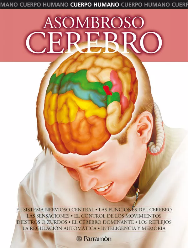 Portada del Libro Asombroso Cerebro (Cuerpo Humano) de Adolfo Cassan - 9788434226180