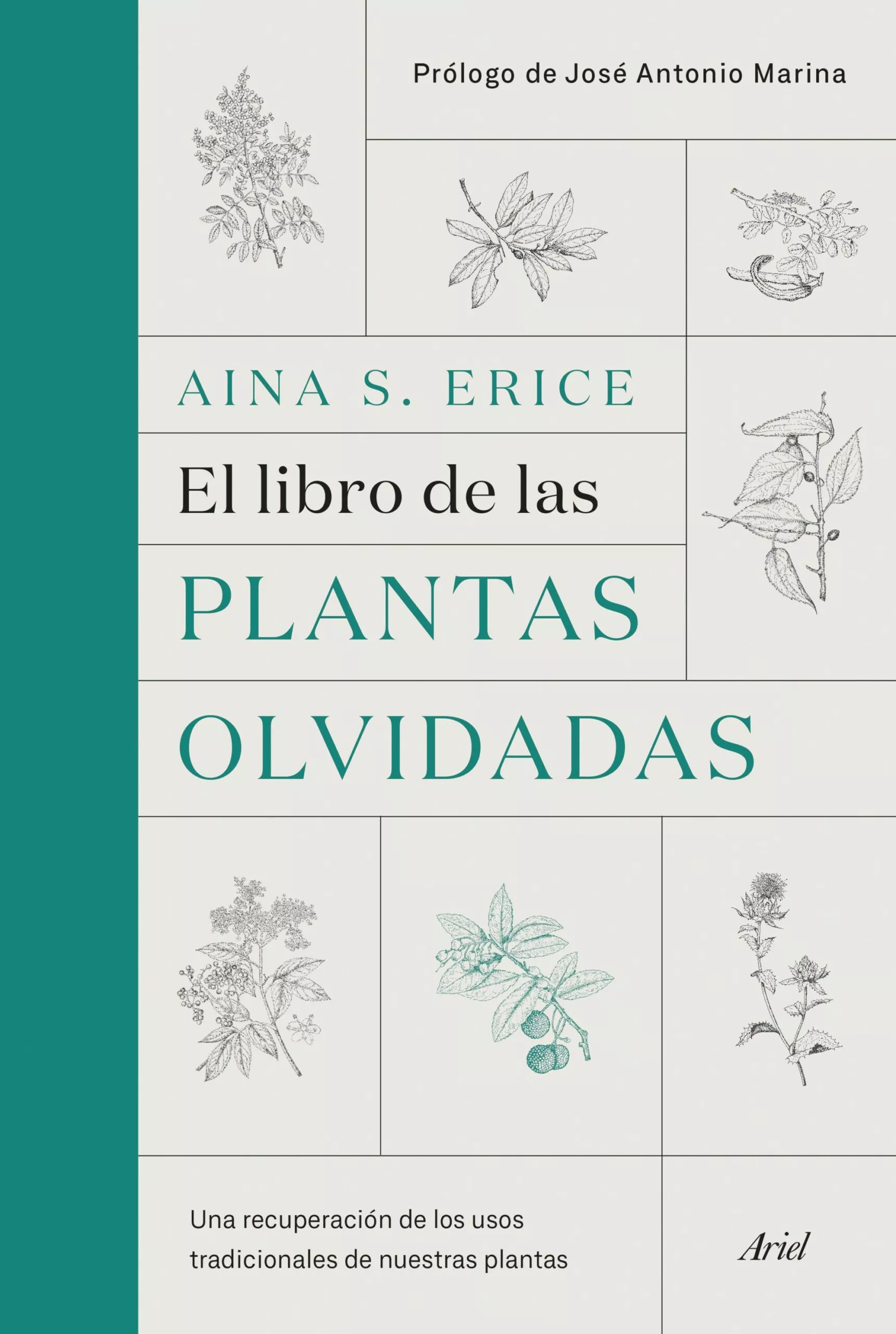 Portada del Libro El Libro De Las Plantas Olvidadas de Aina S. Erice - 9788434431461
