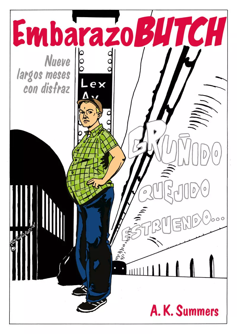 Portada del Libro Embarazo Butch: Nueve Largos Meses Con Disfraz de Ak Summers - 9788415373797