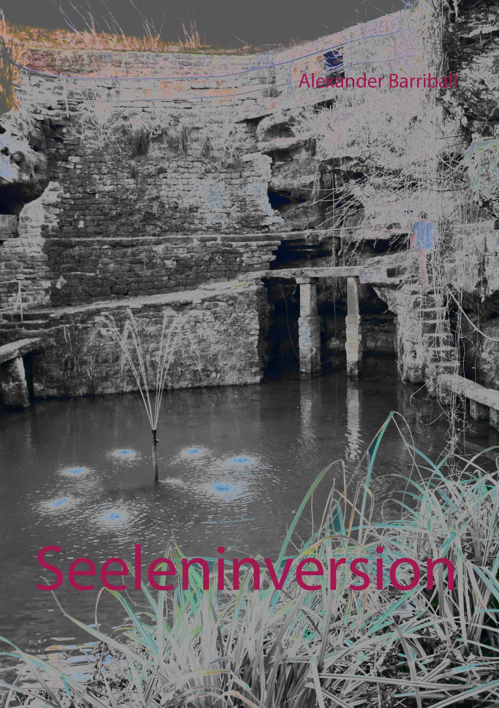 Portada del Libro Seeleninversion de Alexander Barriball - 9783752832181