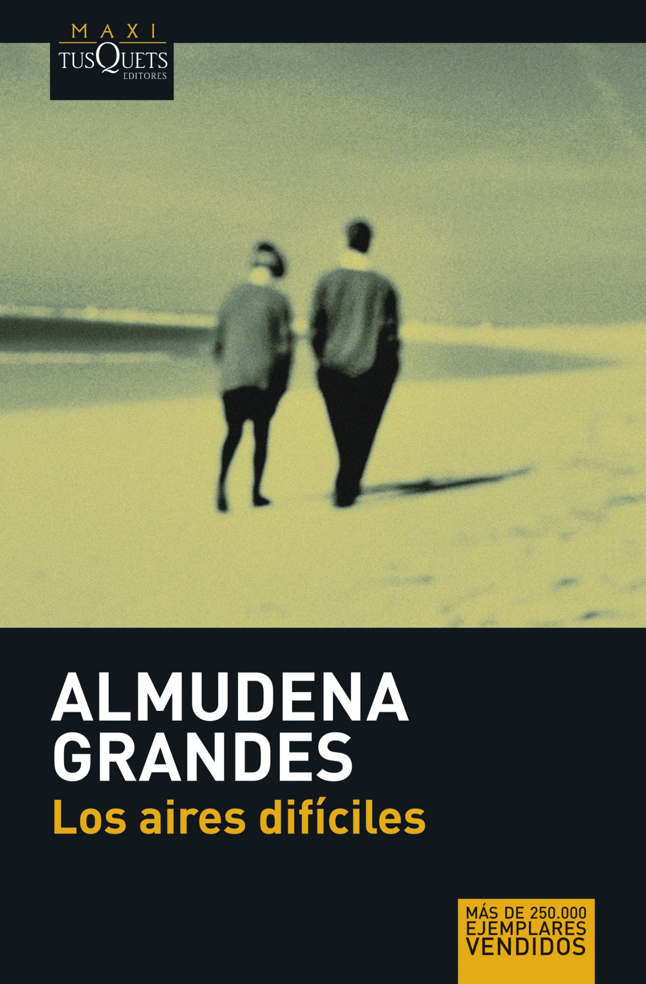 Portada del Libro Los Aires Dificiles de Almudena Grandes - 9788483835005