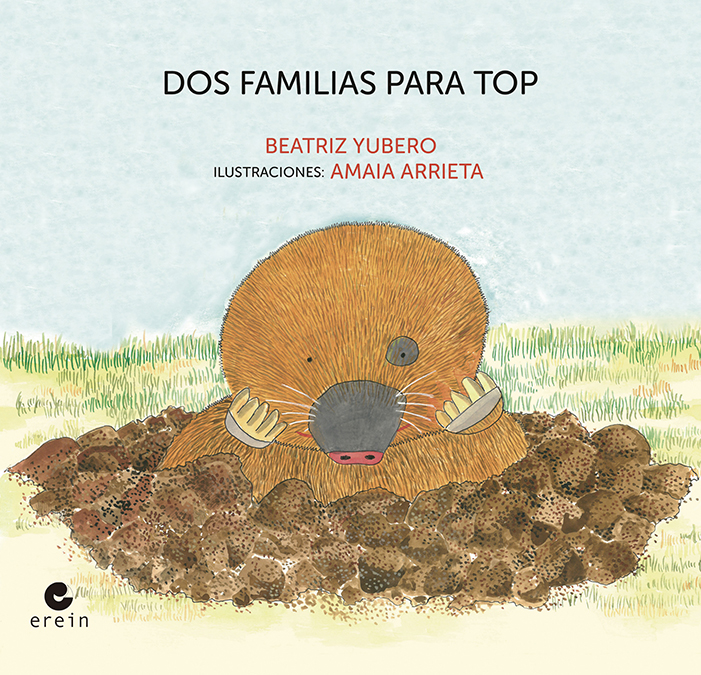 Portada del Libro Dos Familias Para Top de Amaia Arrieta Ugartondo - 9788491095897