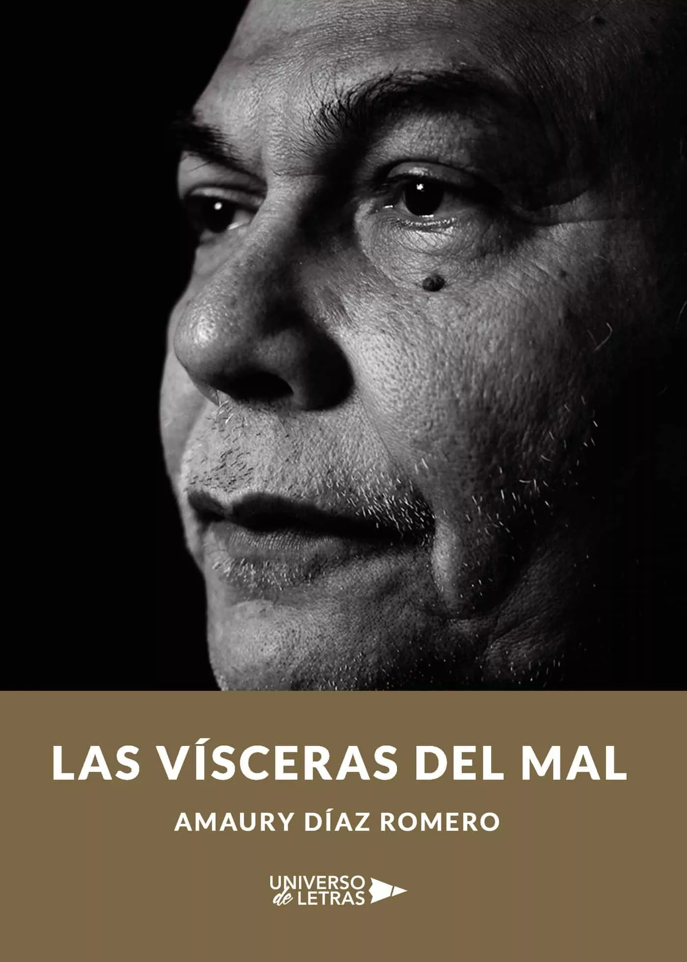Portada del Libro Las Visceras Del Mal de Amaury Diaz Romero - 9788418036071