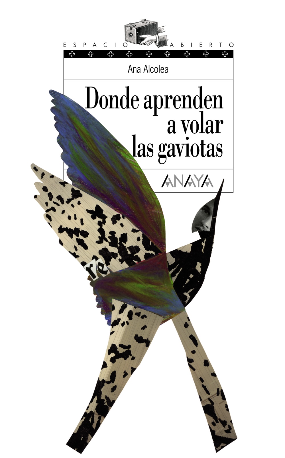 Portada del Libro Donde Aprenden A Volar Las Gaviotas de Ana Alcolea - 9788466762489