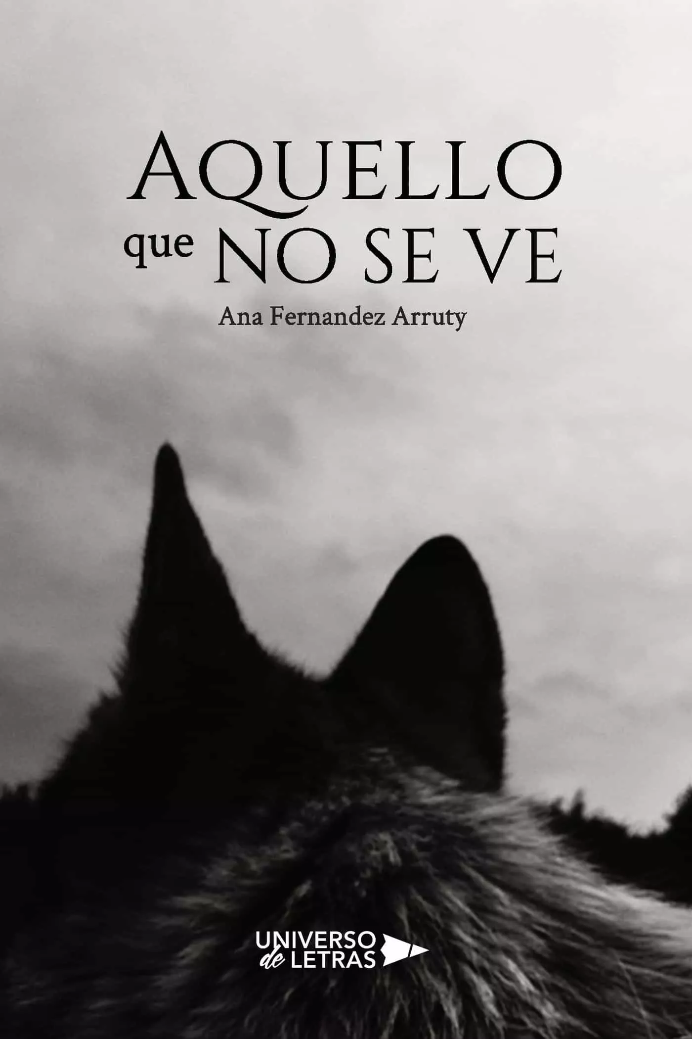 Portada del Libro Aquello Que No Se Ve de Ana Fernandez Arruty - 9788417926618