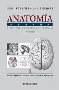 Portada del Libro Anatomia Humana: Descriptiva Topografica Y Funcional (T. 4): Sis Tema de Andre Delmas - 9788445813164