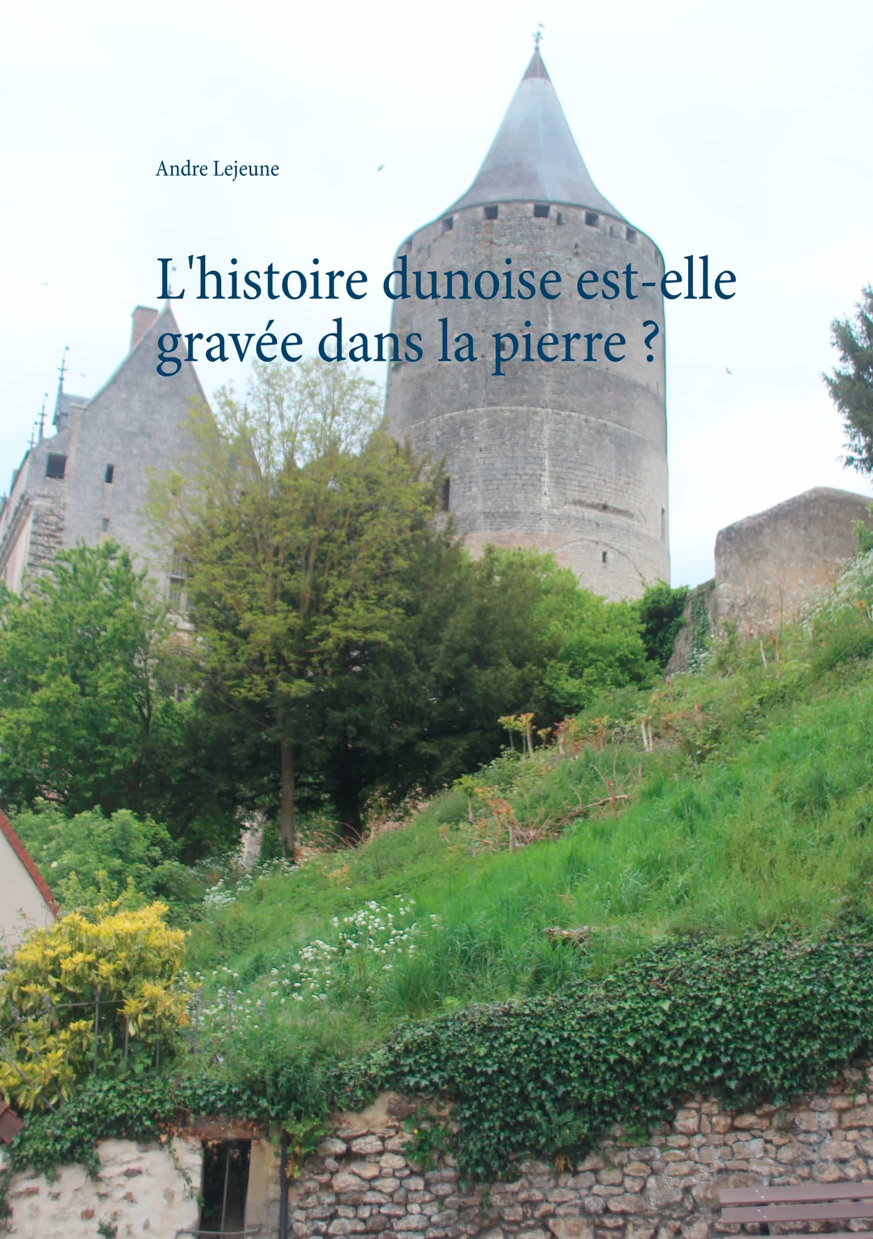 Portada del Libro L Histoire Dunoise Est-Elle Gravee Dans La Pierre ? de Andre Lejeune - 9782322034994