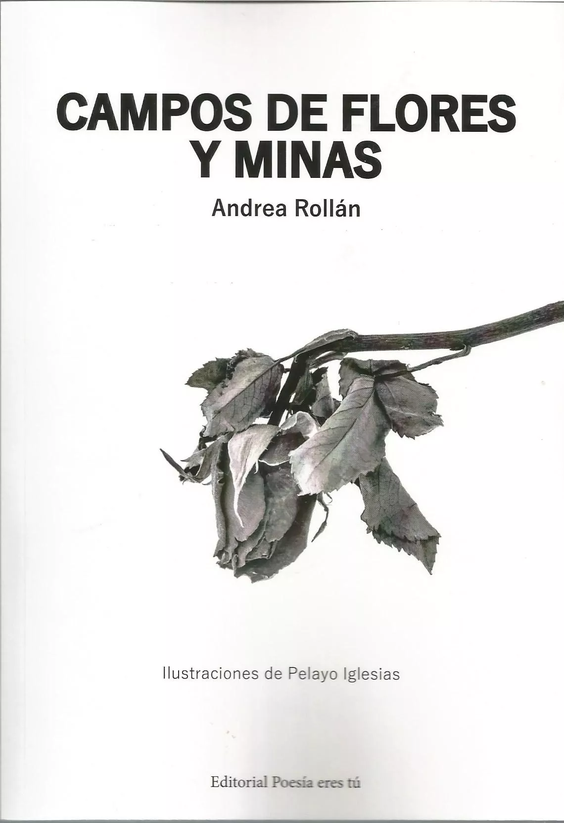 Portada del Libro Campos De Flores Y Minas de Andrea Rollan - 9788417754273
