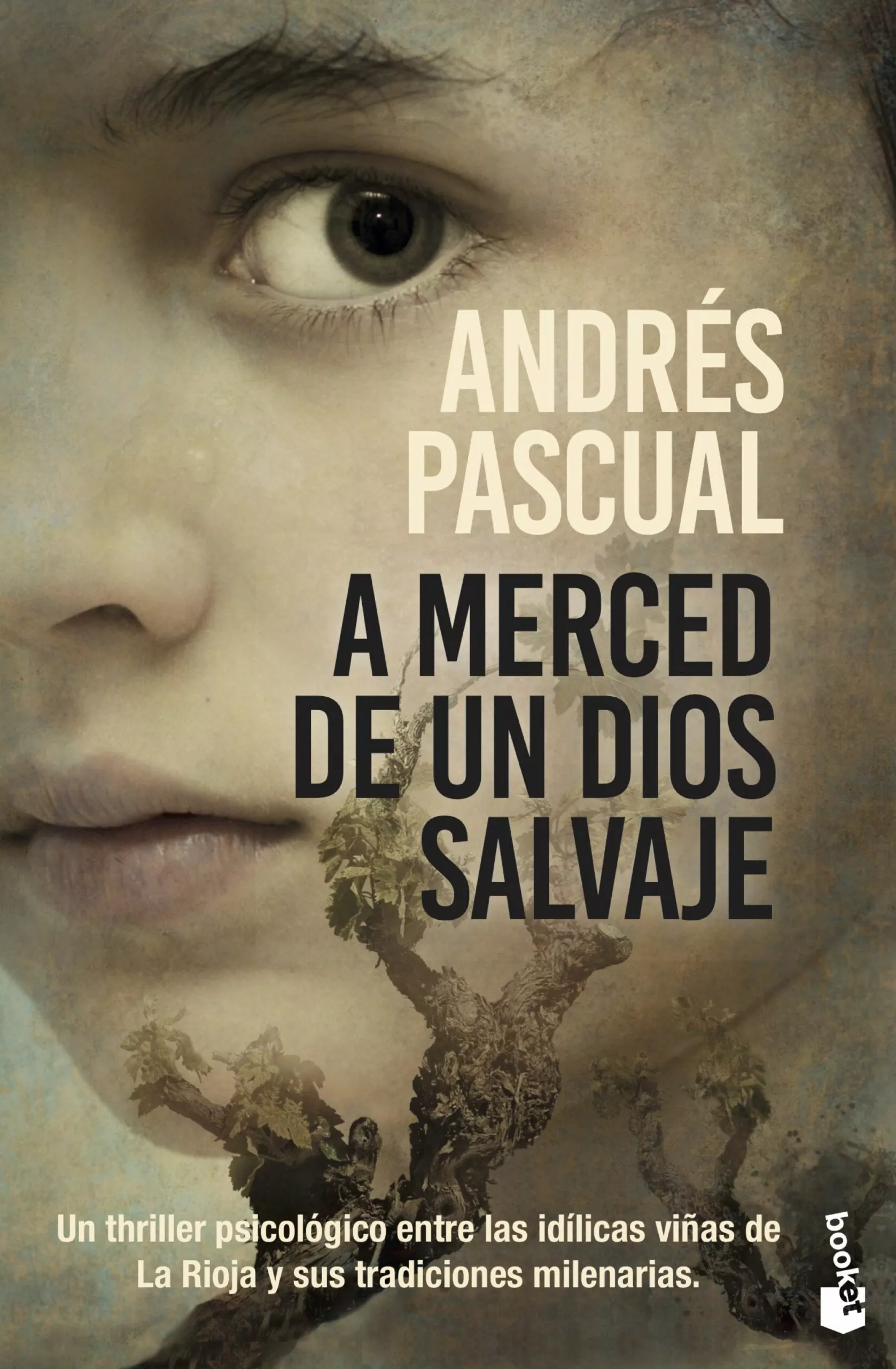 Portada del Libro A Merced De Un Dios Salvaje de Andres Pascual - 9788467058673
