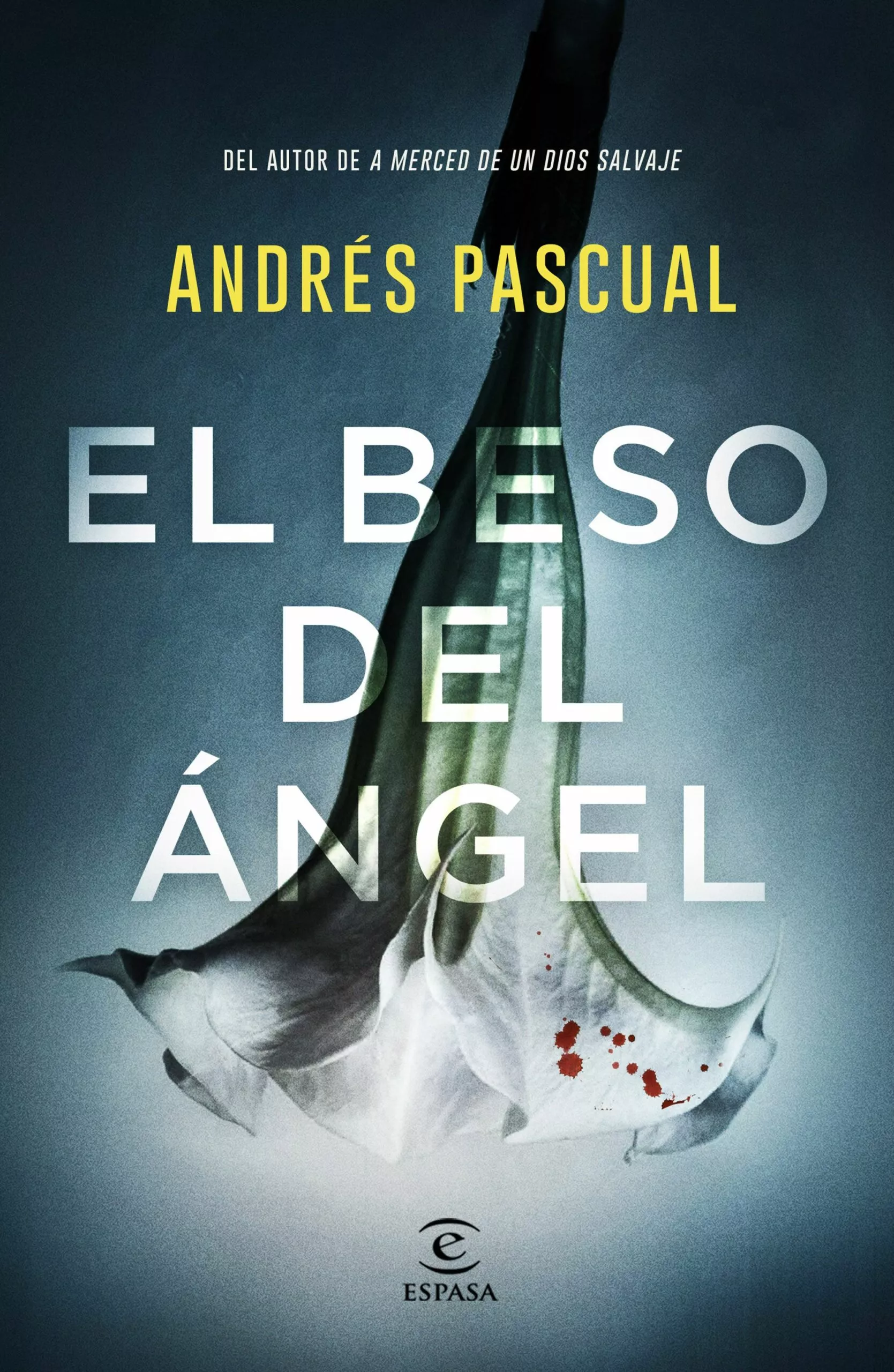 Portada del Libro El Beso Del Angel de Andres Pascual - 9788467057751