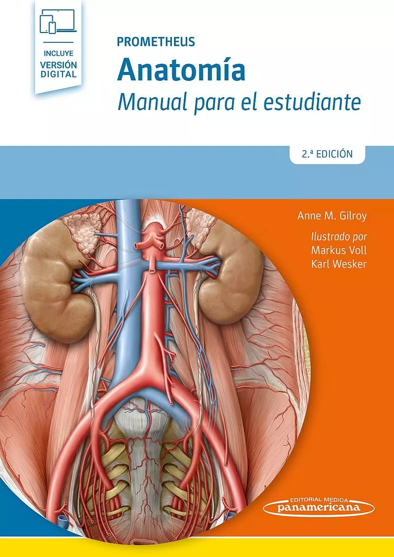 Portada del Libro Prometheus: Anatomia (Incluye Version Digital): Manual Para El Estudia de Anne M. Gilroy - 9788491103608