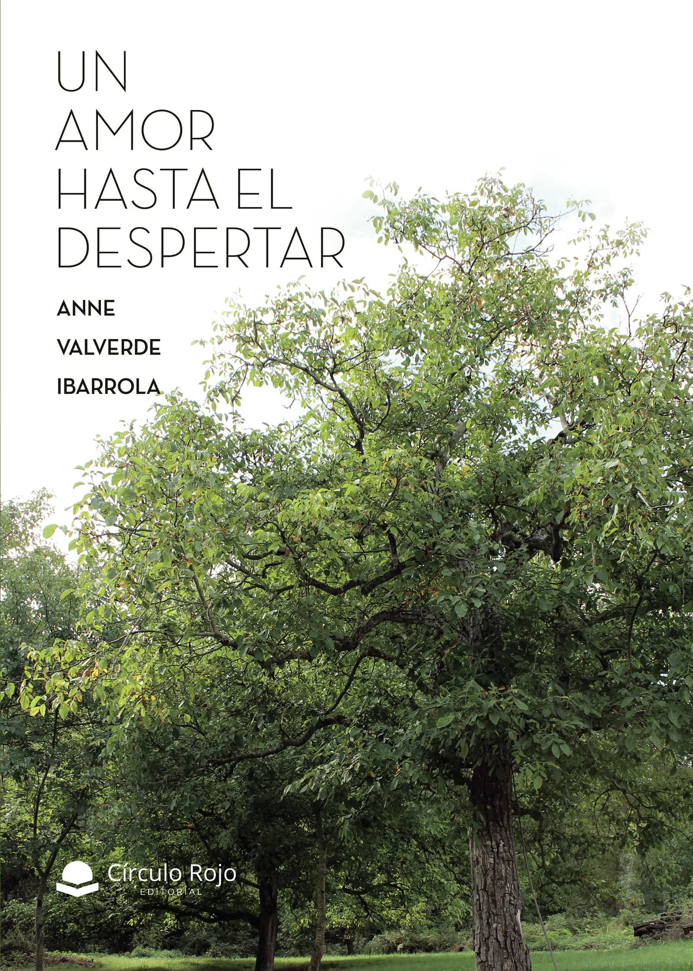 Portada del Libro Un Amor Hasta El Despertar de Anne Valverde Ibarrola - 9788413383002