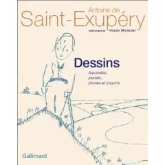 Portada del Libro Dessins: Aquarelles Pastels Plumes Et Crayons de Antoine De Saint Exupery - 9782070118373