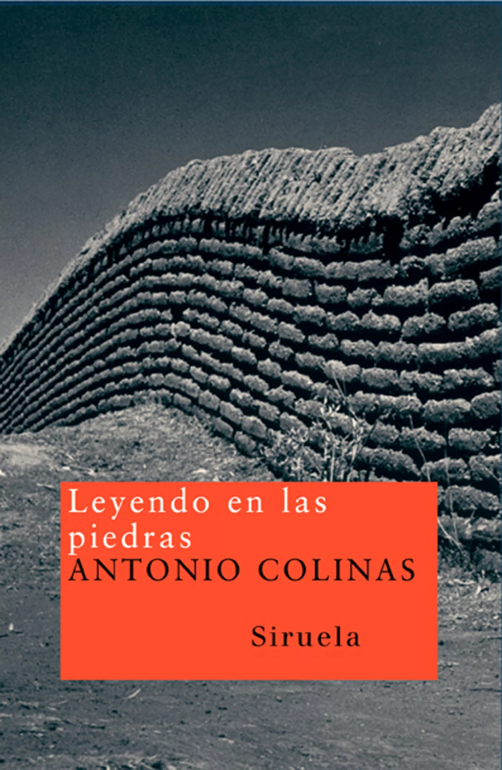 Portada del Libro Leyendo En Las Piedras de Antonio Colinas - 9788478442348