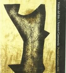Portada del Libro Vision Del Frio de Antonio Gamoneda - 9788481387360