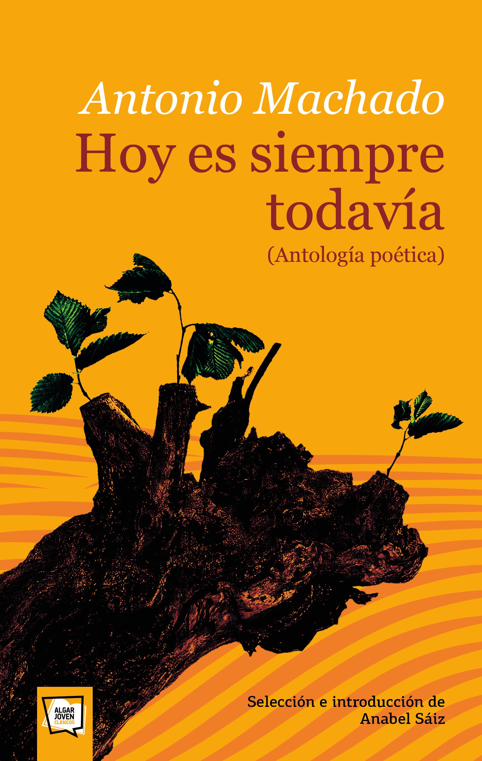 Portada del Libro Hoy Es Siempre Todavia (Antologia Poetica) de Antonio Machado - 9788491423768