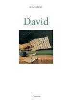 Portada del Libro David; The Art Gallery Series de Antonio Pinelli - 9788874391226