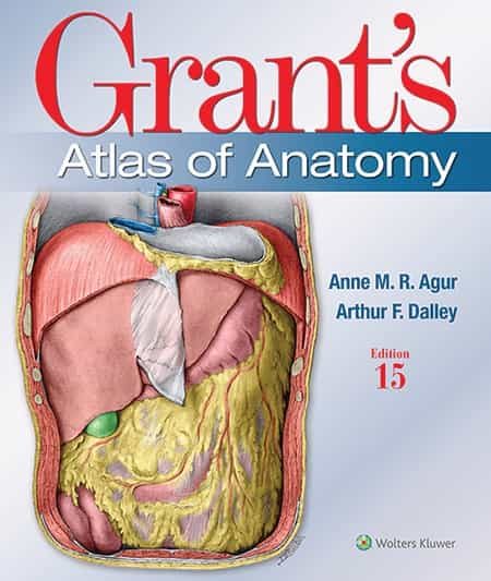 Portada del Libro Grants Atlas Of Anatomy (15Th Ed.) de Arthur F. Dalley - 9781975138783