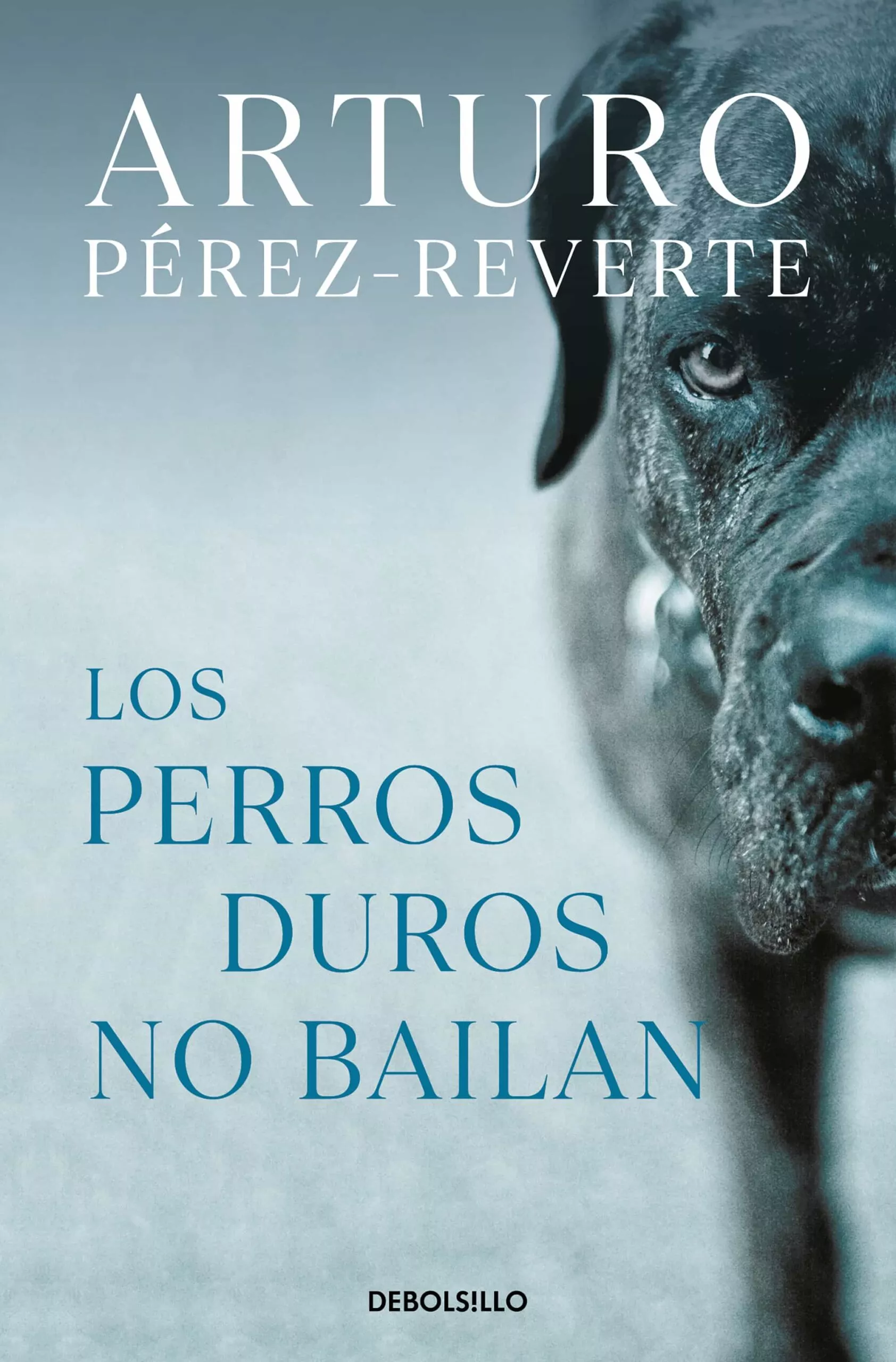 Portada del Libro Los Perros Duros No Bailan de Arturo Perez Reverte - 9788466350594