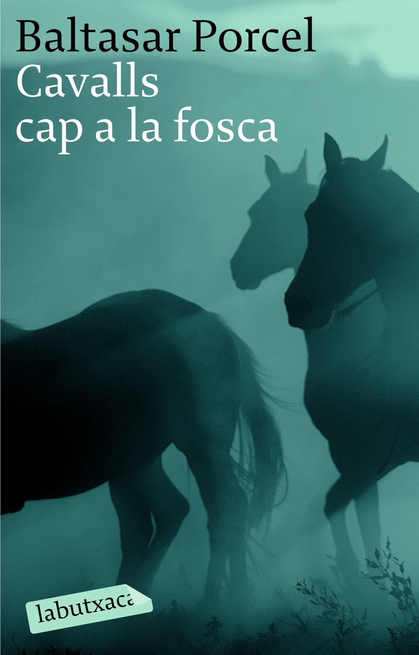 Portada del Libro Cavalls Cap A La Fosca de Baltasar Porcel - 9788496863040
