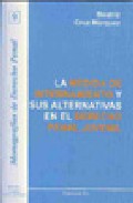 Portada del Libro La Medida De Internamiento Y Sus Alternativas En El Derecho Penal Juve de Beatriz Cruz Marquez - 9788498490329