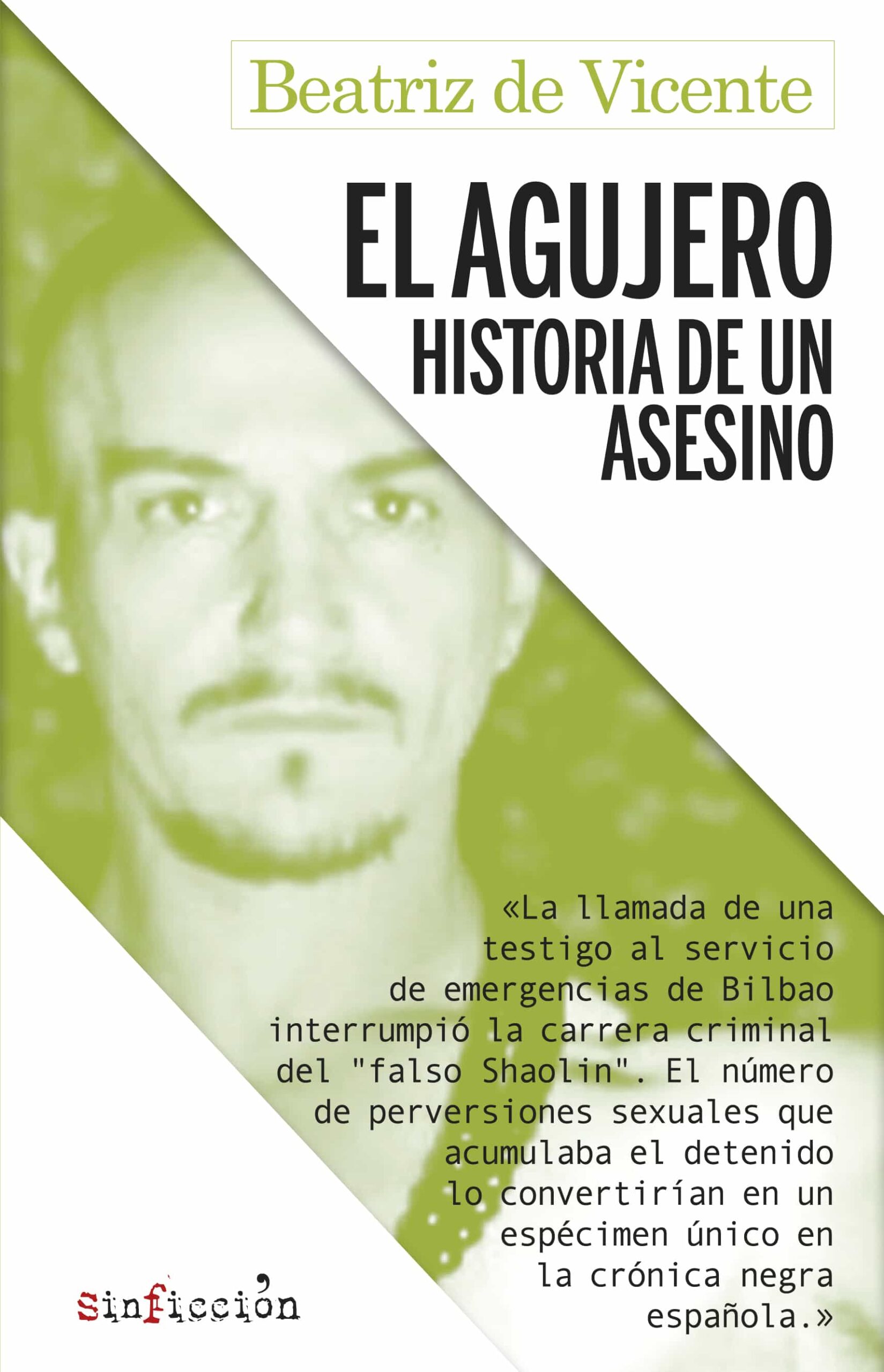 Portada del Libro El Agujero. Historia De Un Asesino de Beatriz De Vicente - 9788417847470