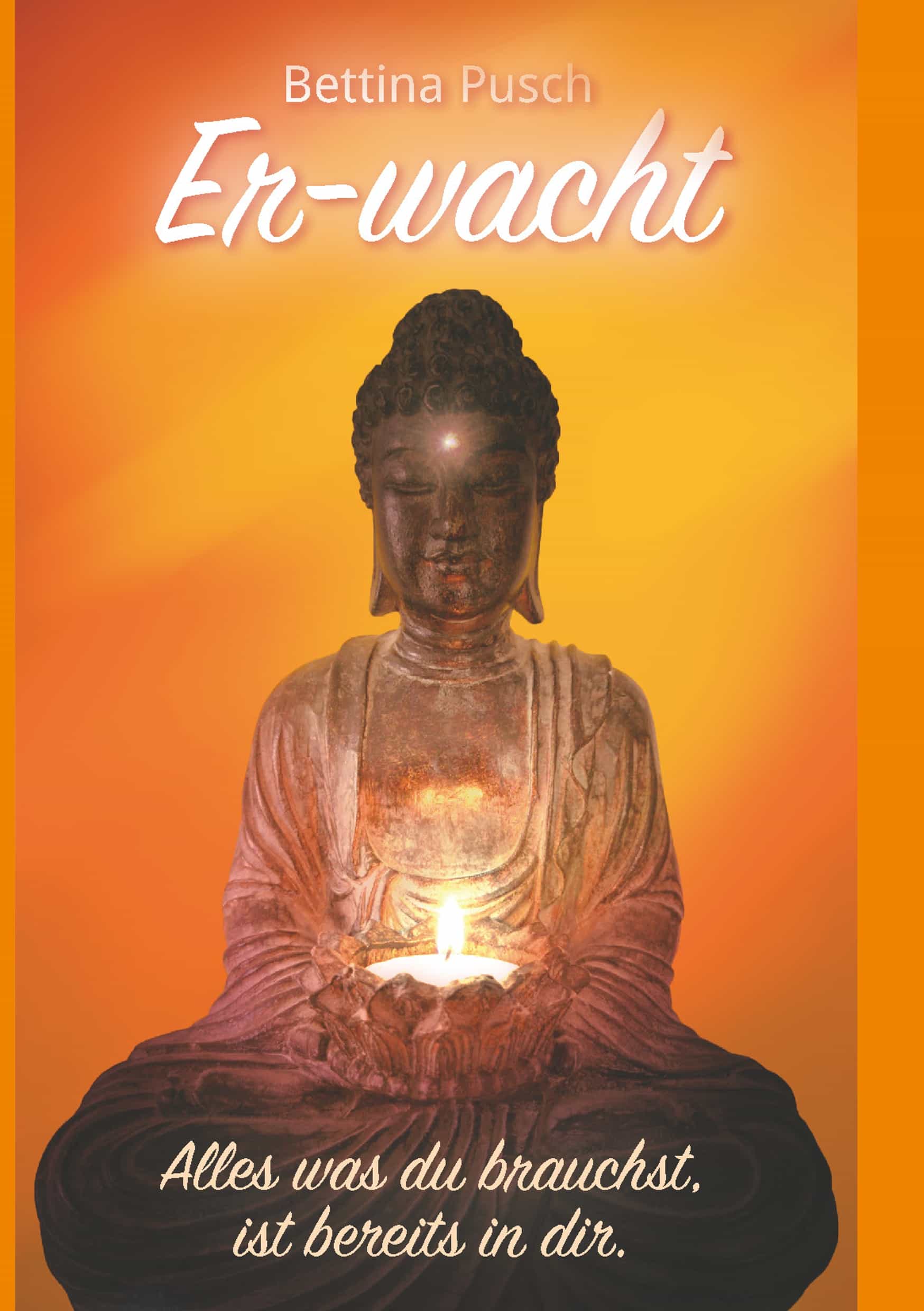 Portada del Libro Er-Wacht de Bettina Pusch - 9783752895896