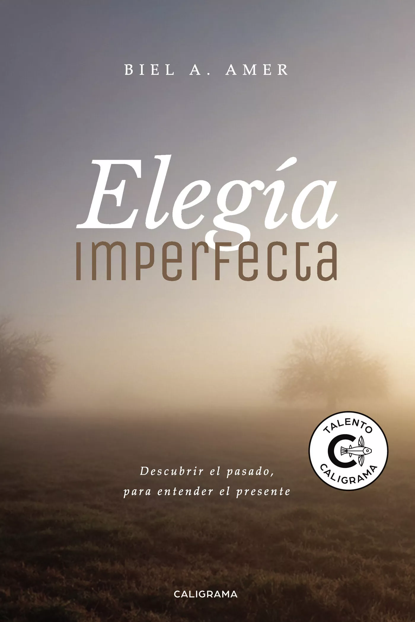 Portada del Libro (I.B.D.) Elegia Imperfecta de Biel A. Amer - 9788417915469