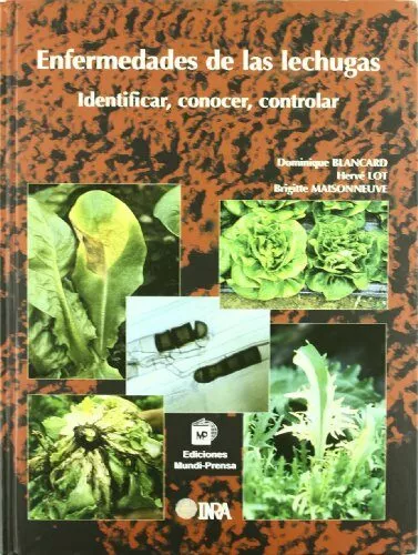 Portada del Libro Enfermedades De Las Lechugas: Identificar Conocer Controlar de Brigitte Maisonneuve - 9788484761884
