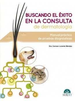 Portada del Libro Buscando El Exito En La Consulta De Dermatología: Manual Práctico De P de Carmen Lorente Mendez - 9788418020193
