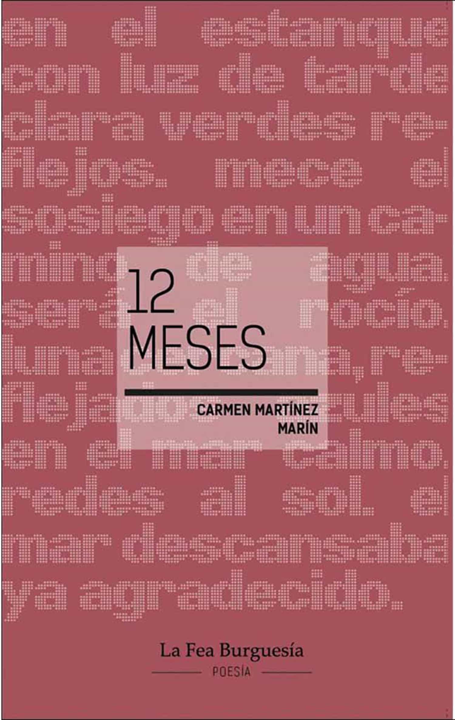 Portada del Libro 12 Meses de Carmen Martinez Marin - 9788412032741