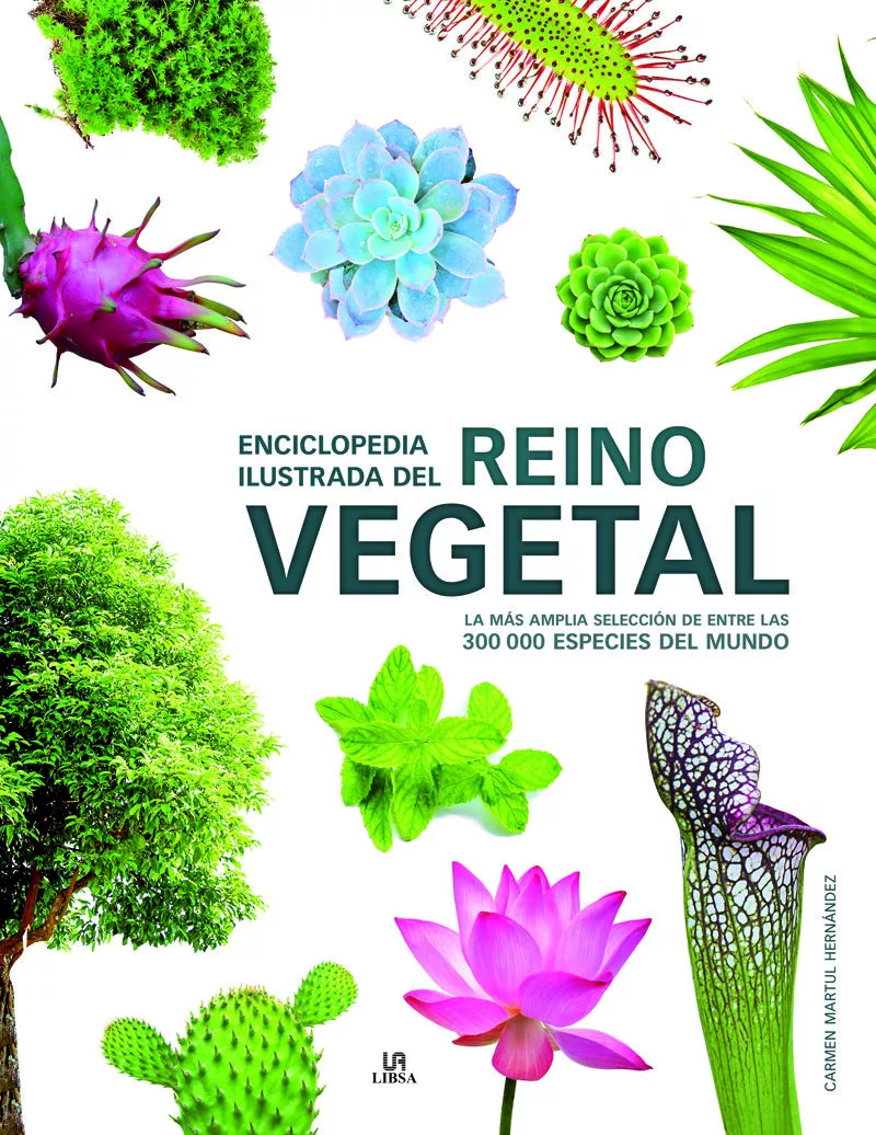Portada del Libro Enciclopedia Ilustrada Del Reino Vegetal de Carmen Martul Hernandez - 9788466232722