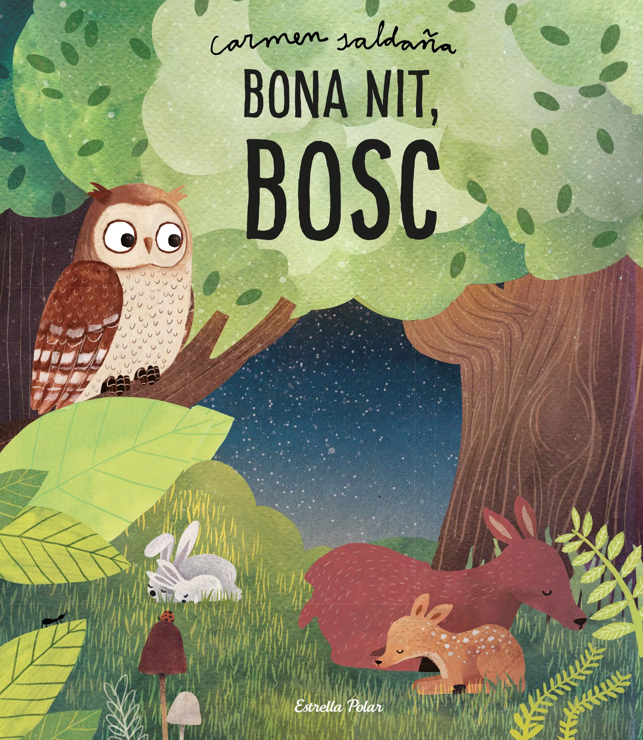 Portada del Libro Bona Nit Bosc de Carmen Saldaña - 9788491379386