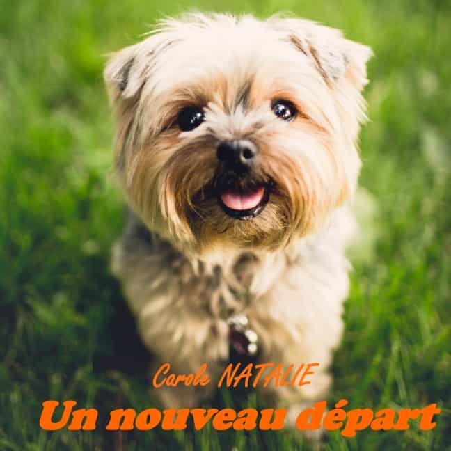 Portada del Libro Un Nouveau Départ de Carole Natalie - 9782322188093