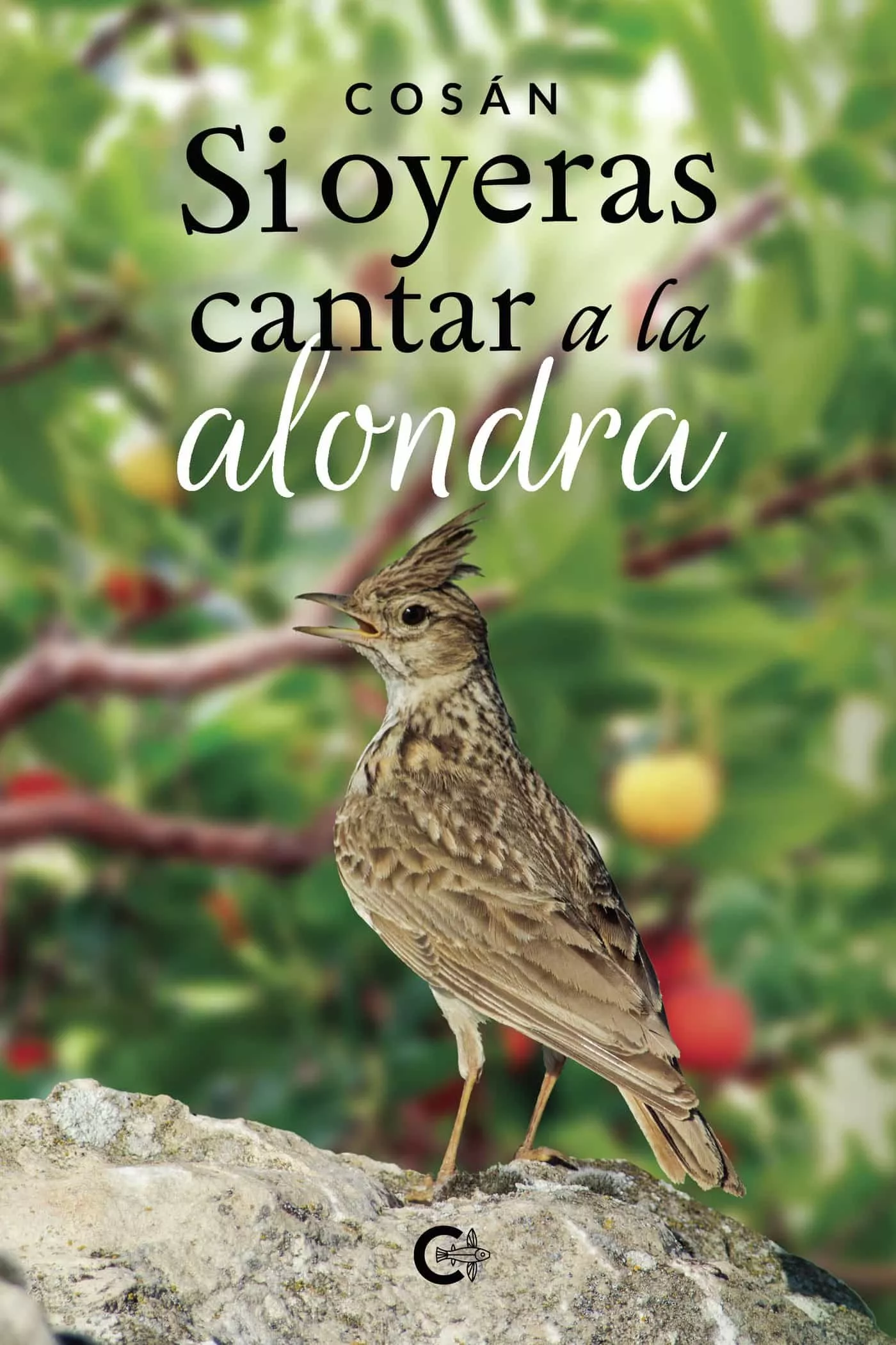 Portada del Libro (I.B.D.) Si Oyeras Cantar A La Alondra de Cosan - 9788418104411