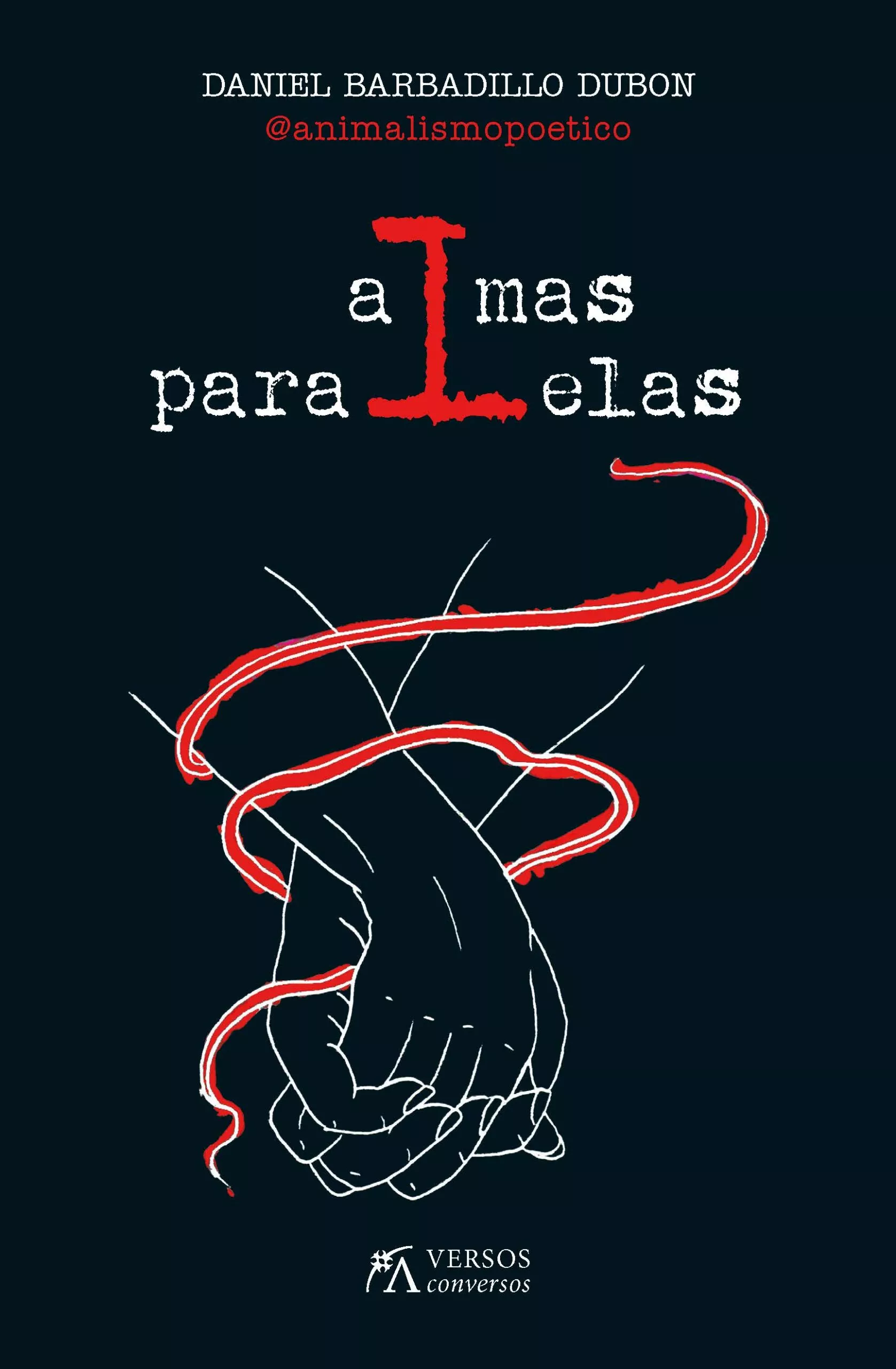 Portada del Libro Almas Paralelas de Daniel Barbadillo Dubon - 9788417828103
