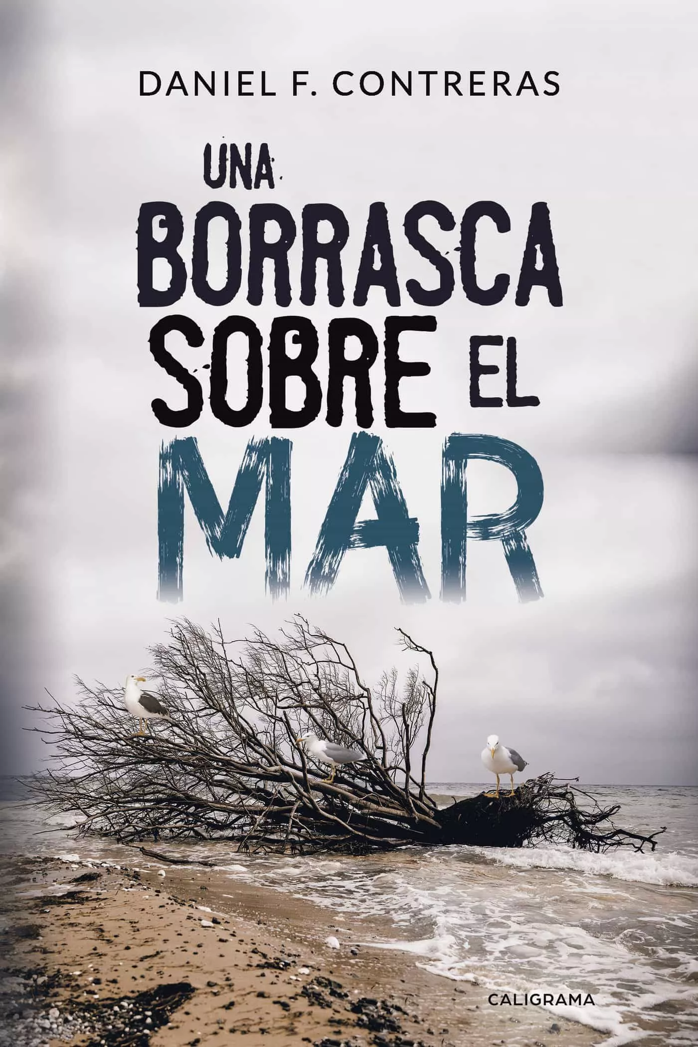 Portada del Libro (I.B.D.)Una Borrasca Sobre El Mar de Daniel F. Contreras - 9788417234195