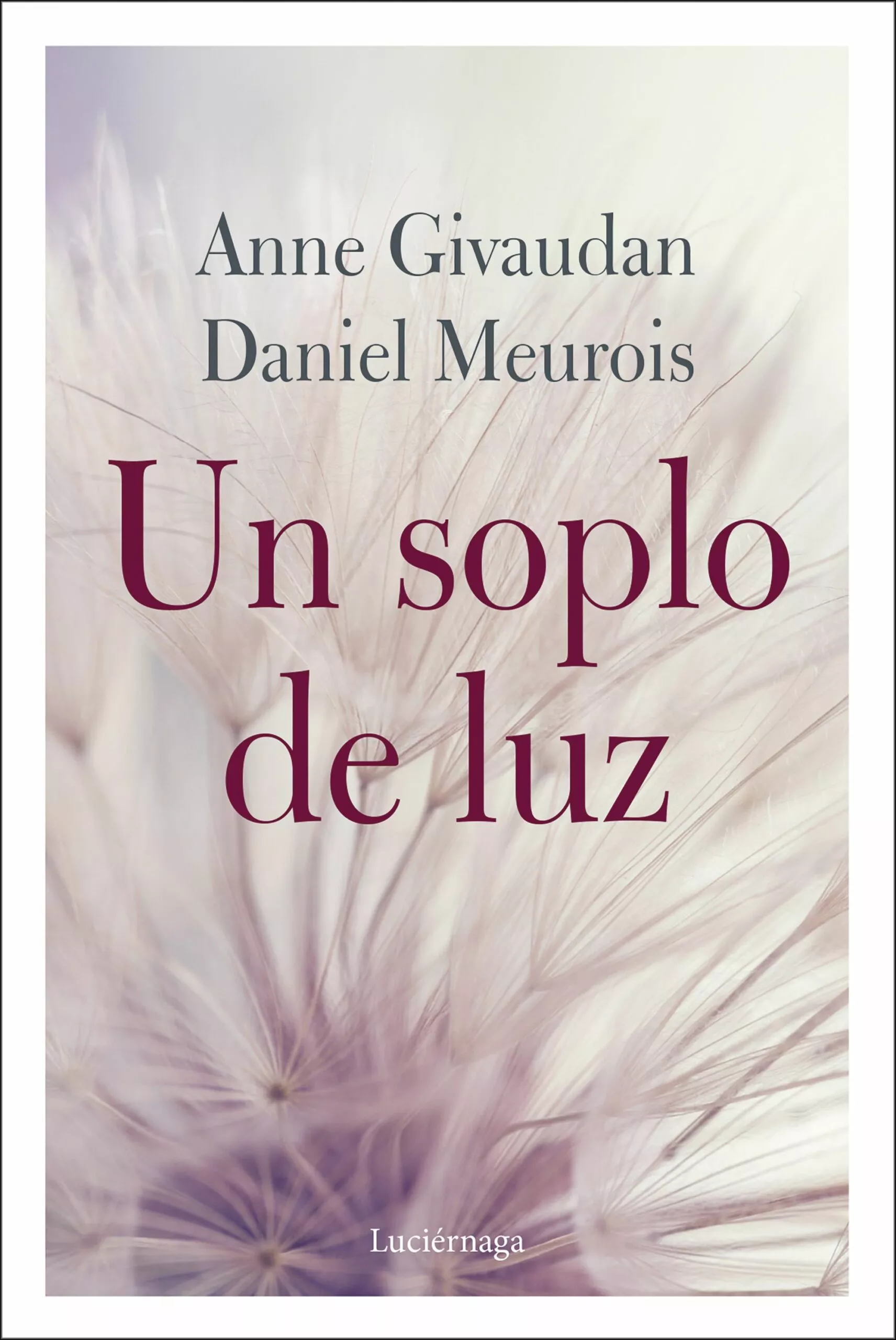 Portada del Libro Un Soplo De Luz de Daniel Meurois - 9788412050608