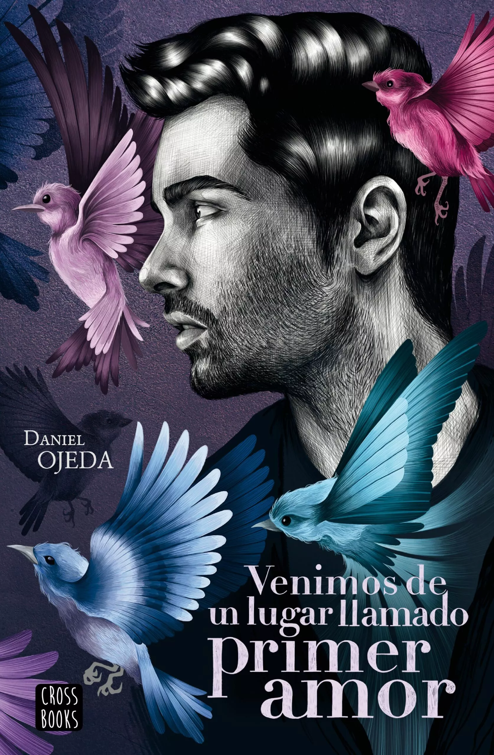 Portada del Libro Venimos De Un Lugar Llamado Primer Amor de Daniel Ojeda Checa - 9788408224877