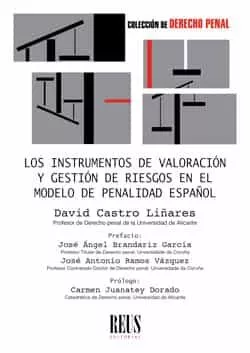Portada del Libro Los Instrumentos De Valoración Y Gestión De Riesgo En El Modelo E Pena de David Castro Liñares - 9788429021882