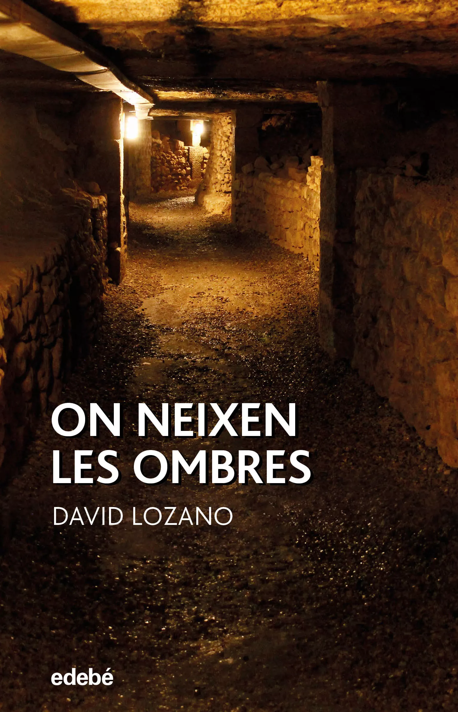 Portada del Libro On Neixen Les Ombres (Periscopi) de David Lozano - 9788468346946