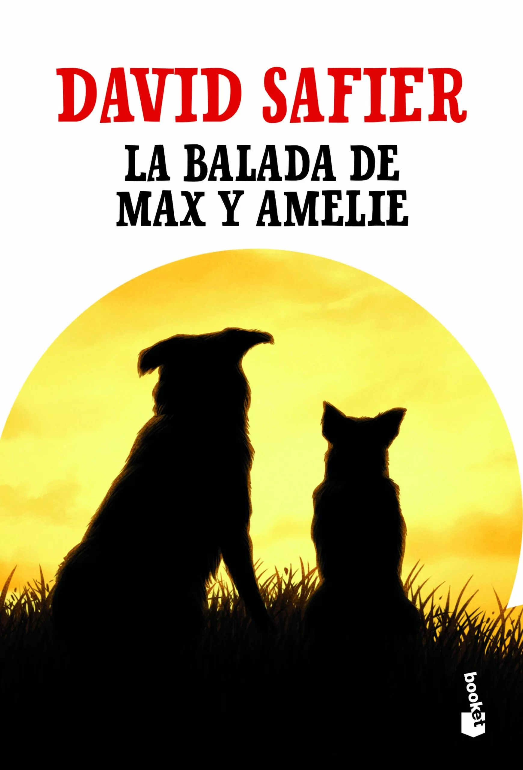 Portada del Libro La Balada De Max Y Amelie de David Safier - 9788432235788