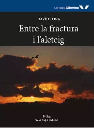 Portada del Libro Entre La Fractura I L Aleteig de David Tona Mora - 9788412082999