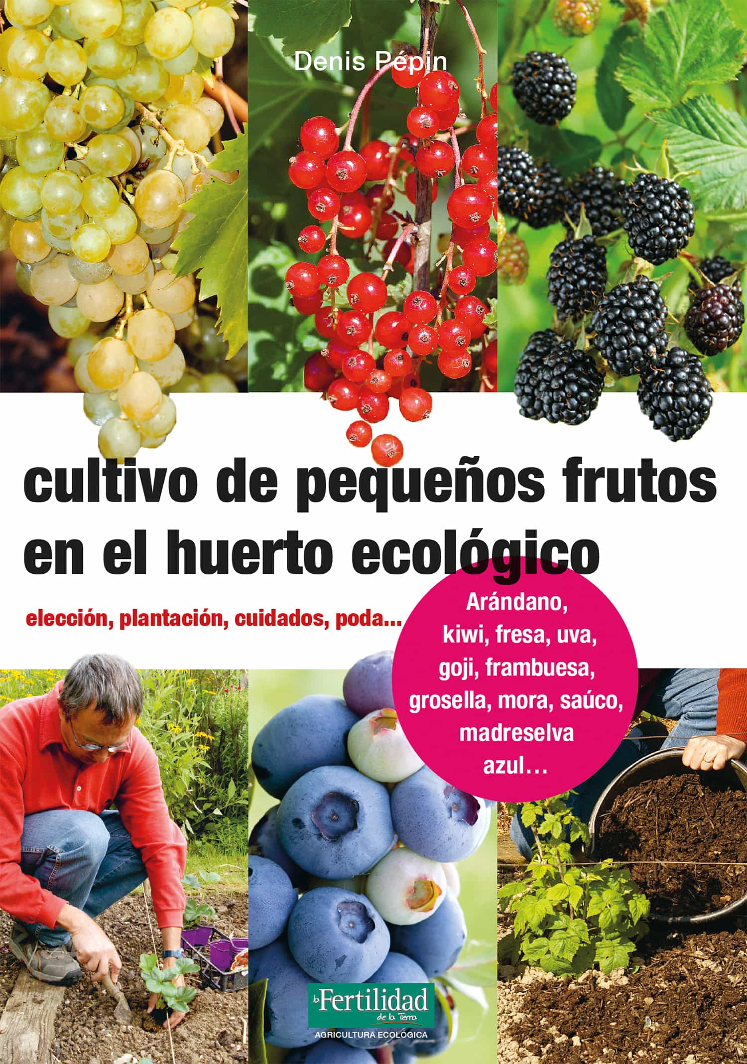 Portada del Libro Cultivo De Pequeños Frutos En El Huerto Ecológico. Elección Plan Tació de Denis Pepin - 9788494826788