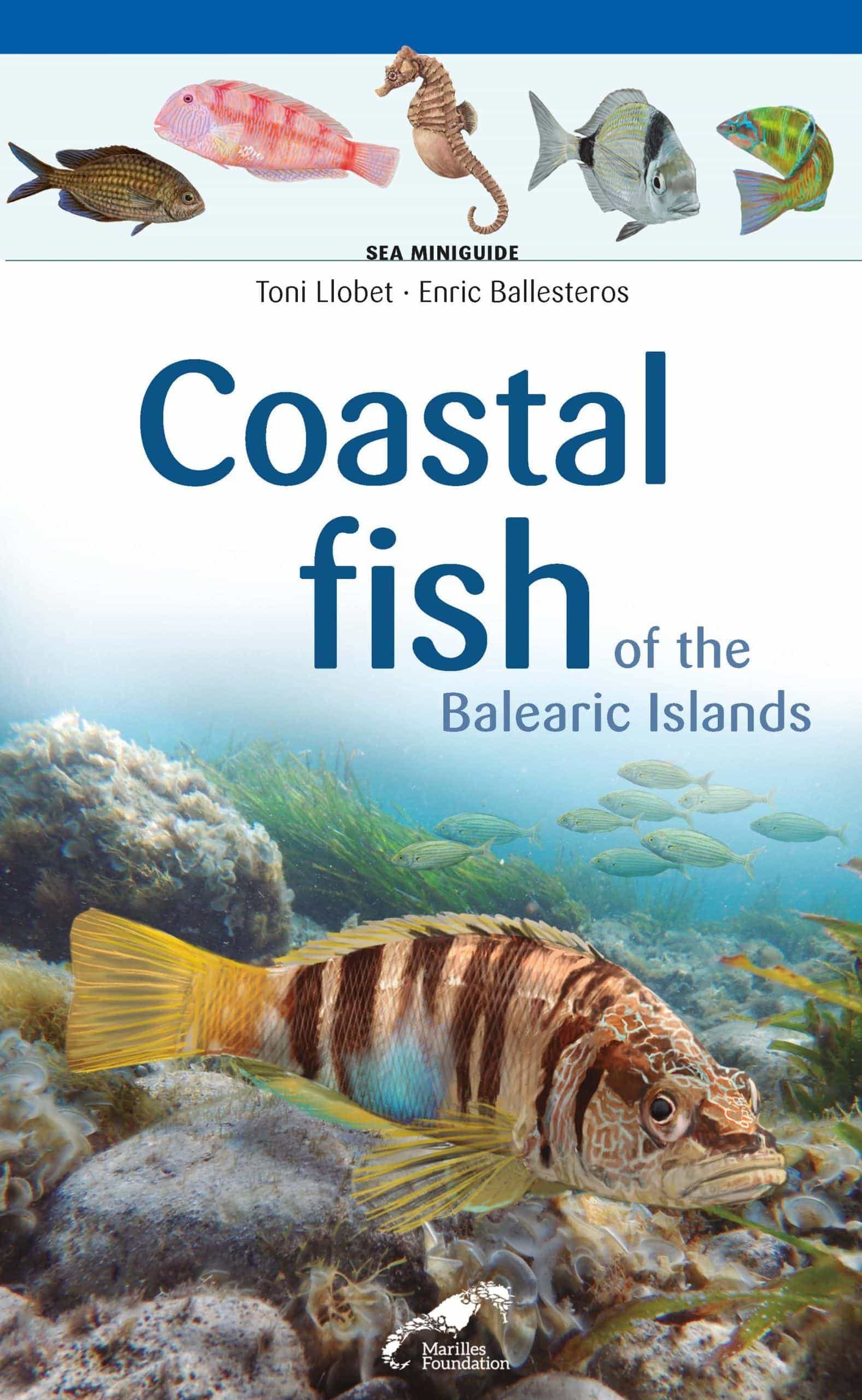 Portada del Libro Coastal Fish Of The Balearic Islands de Enric Ballesteros - 9788490349427