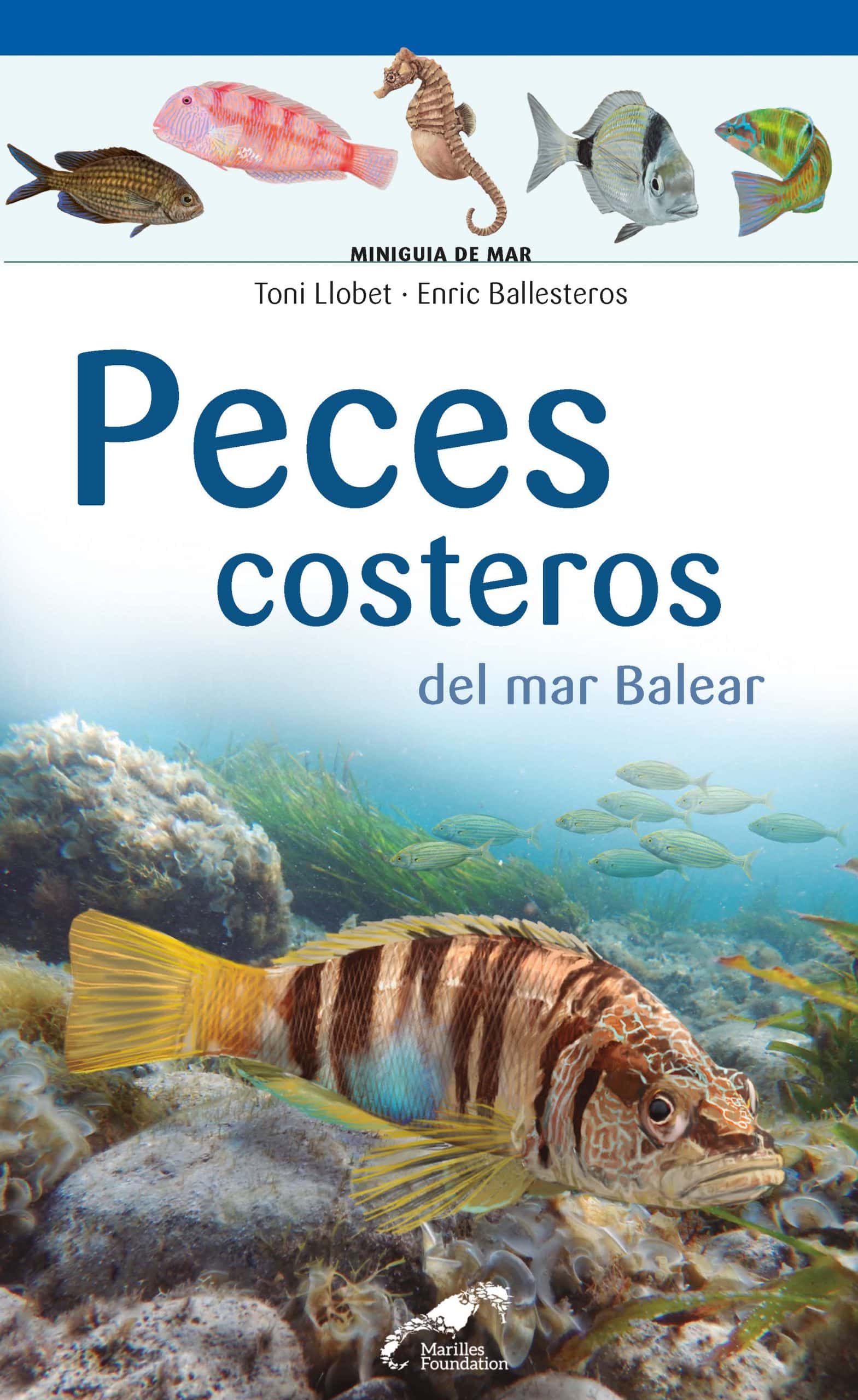 Portada del Libro Peces Costeros Del Mar Balear de Enric Ballesteros - 9788490349588