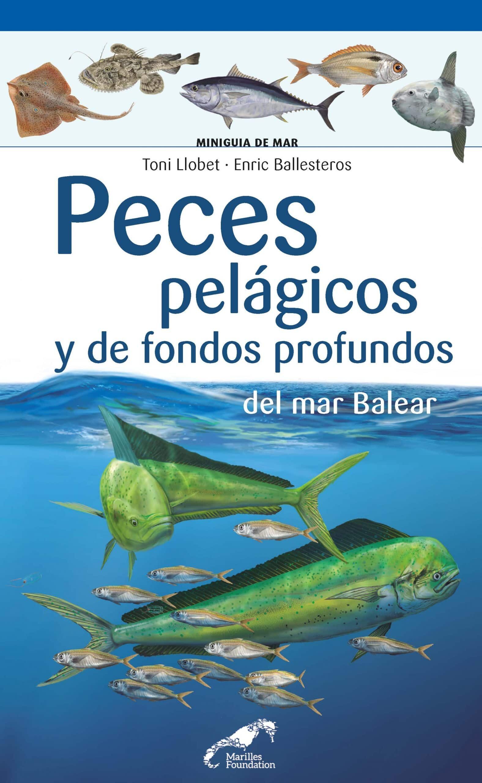 Portada del Libro Peces Pelagicos Y De Fondos Profundos Del Mar Balear de Enric Ballesteros - 9788490349571