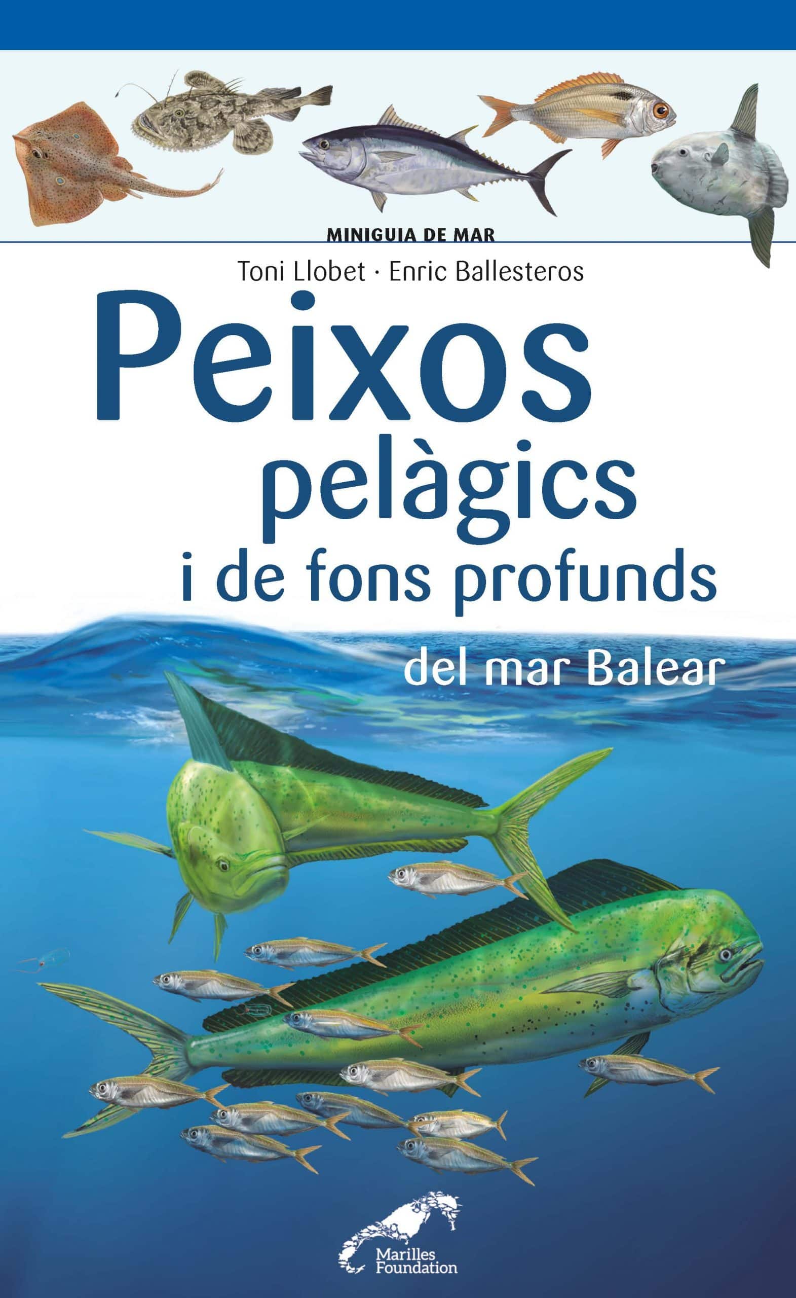 Portada del Libro Peixos Pelagics I De Fons Profunds Del Mar Balear de Enric Ballesteros - 9788490349397
